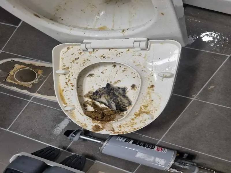 영통 변기막힘 작업사례 15